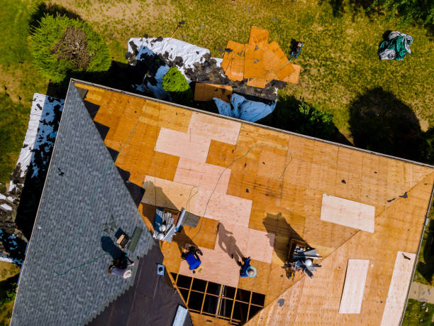 Best Gutter Installation and Roofing  in Bloomville, OH